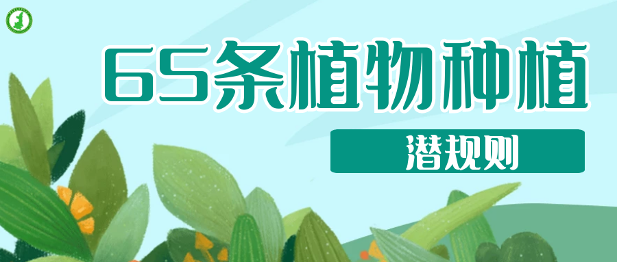 65條植物種植潛規(guī)則，園林人的血淚總結 ！